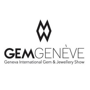 Logo Website